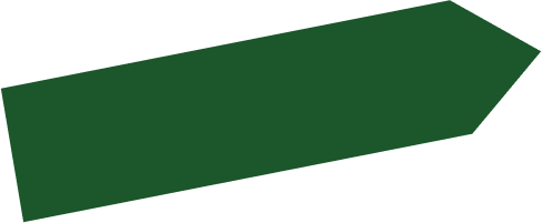 Yellow arrow